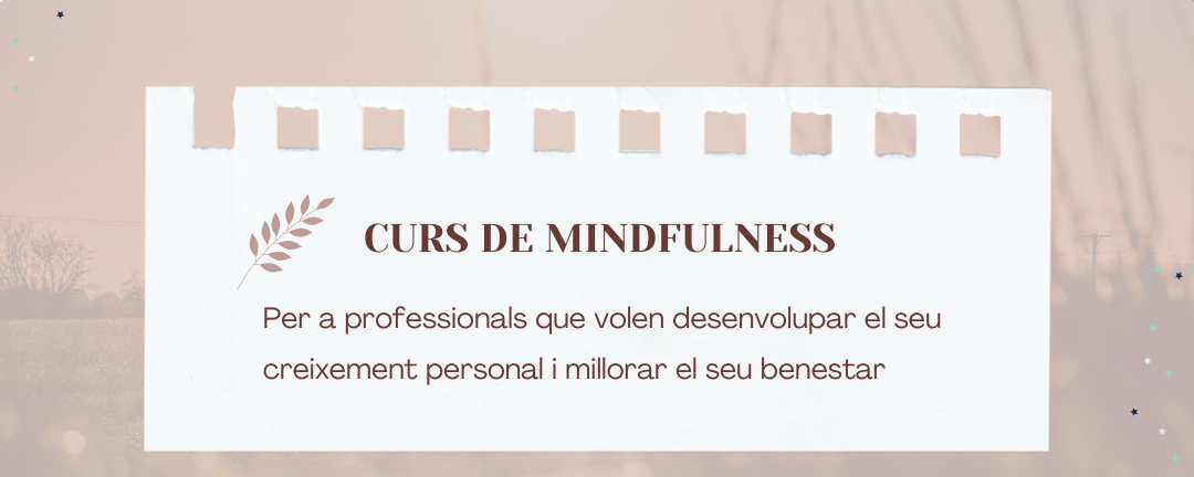 mindfulness fes